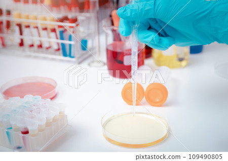 Scientist examining solution in petri dish at a laboratory. Doctor examines coronavirus test on petri dish in hospital. Scientist examining solution in petri dish at a laboratory. Doctor examines coronavirus test on petri dish in hospital. 109490805
