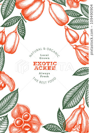 Hand drawn sketch style ackee banner. Organic fresh food vector illustration. Retro exotic fruit design template. Engraved style botanical background. Hand drawn sketch style ackee banner. Organic fresh food vector illustration. Retro exotic fruit design template. Engraved style botanical background. 109490904