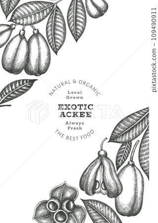 Hand drawn sketch style ackee banner. Organic fresh food vector illustration. Retro exotic fruit design template. Engraved style botanical background. 109490911