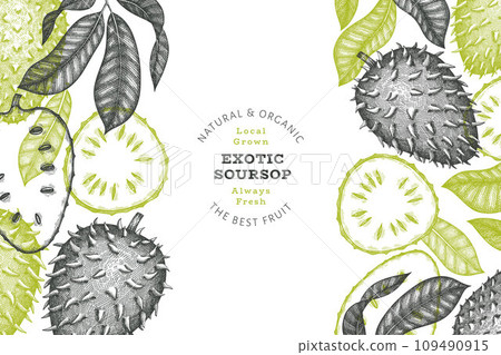 Hand drawn sketch style soursop fruit banner. Organic fresh fruit vector illustration. Retro guanabana design template 109490915