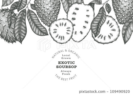 Hand drawn sketch style soursop fruit banner. Organic fresh fruit vector illustration. Retro guanabana design template Hand drawn sketch style soursop fruit banner. Organic fresh fruit vector illustration. Retro guanabana design template 109490920