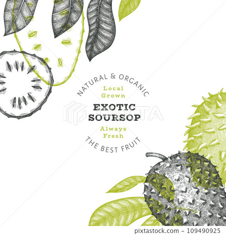 Hand drawn sketch style soursop fruit banner. Organic fresh fruit vector illustration. Retro guanabana design template Hand drawn sketch style soursop fruit banner. Organic fresh fruit vector illustration. Retro guanabana design template 109490925