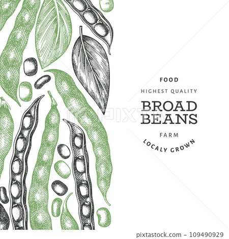 Hand drawn broad beans design template. Organic fresh food vector illustration. Retro pods illustration. Engraved botanical style cereal background. Hand drawn broad beans design template. Organic fresh food vector illustration. Retro pods illustration. Engraved botanical style cereal background. 109490929