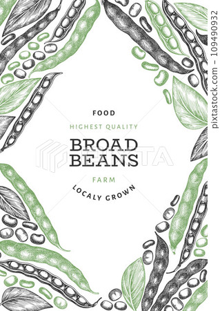 Hand drawn broad beans design template. Organic fresh food vector illustration. Retro pods illustration. Engraved botanical style cereal background. 109490932