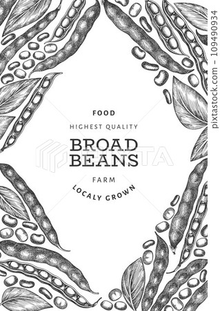 Hand drawn broad beans design template. Organic fresh food vector illustration. Retro pods illustration. Engraved botanical style cereal background. Hand drawn broad beans design template. Organic fresh food vector illustration. Retro pods illustration. Engraved botanical style cereal background. 109490934