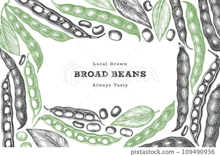 Hand drawn broad beans design template. Organic fresh food vector illustration. Retro pods illustration. Engraved botanical style cereal background. 109490936