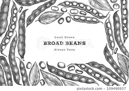 Hand drawn broad beans design template. Organic fresh food vector illustration. Retro pods illustration. Engraved botanical style cereal background. 109490937