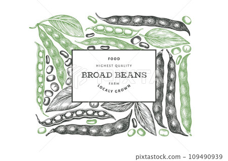 Hand drawn broad beans design template. Organic fresh food vector illustration. Retro pods illustration. Engraved botanical style cereal background. 109490939