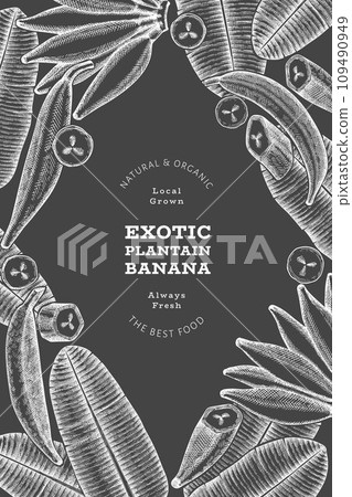 Hand drawn sketch style plantain banner. Organic fresh fruit vector illustration on chalk board. Retro exotic banana fruit design template 109490949