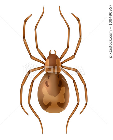 Spider. Dangerous wild insect symbol. Spooky, scary, horror design element. Use for printing, banner drawing or print pattern. Hand drawn top view icon isolated on white background 109490957