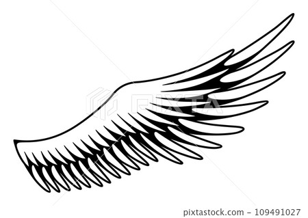Wings sketch. Stylized birds wings. Hand drawn contoured stiker wing in open position. Vector design elements in coloring style 109491027