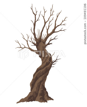 Old dead tree, rough spooky bark, dry naked branch silhouette. Vector scary forest, leafless trunk. Nature ecology problems concept. Winter or autumn season plants icon isolated Old dead tree, rough spooky bark, dry naked branch silhouette. Vector scary forest, leafless trunk. Nature ecology problems concept. Winter or autumn season plants icon isolated 109491106
