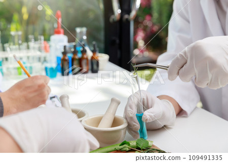 The scientist or doctor make herbal medicine from herb in the laboratory on the table. Herb medicine with herbal the organic natural in the laboratory. The scientist or doctor make herbal medicine from herb in the laboratory on the table. Herb medicine with herbal the organic natural in the laboratory. 109491335