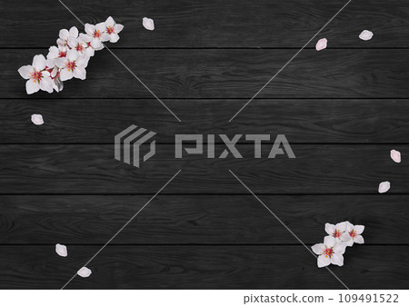 （AI生成圖像）日式背景素材，白色空間，黑色木紋壁紙上的櫻花 109491522