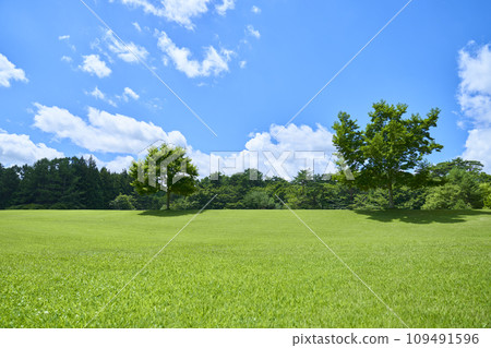 Landscape of green grass and blue sky 109491596