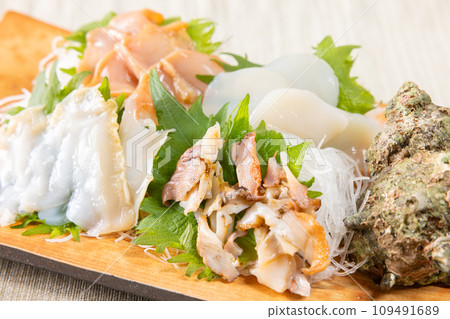 Assorted delicious shellfish sashimi Assorted delicious shellfish sashimi 109491689