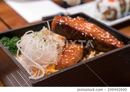 Salmon Sauce with rice. soft focus 109492600