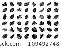 Tropical monstera ficus plant leaves icon illustration set, black on white background 109492748