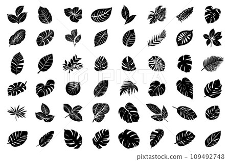Tropical monstera ficus plant leaves icon illustration set, black on white background 109492748