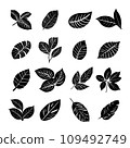 Tropical monstera ficus plant leaves icon illustration set, black on white background 109492749