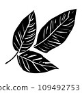 Tropical ficus plant leav icon illustration, black on white background 109492753