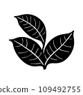 Tropical ficus plant leav icon illustration, black on white background 109492755