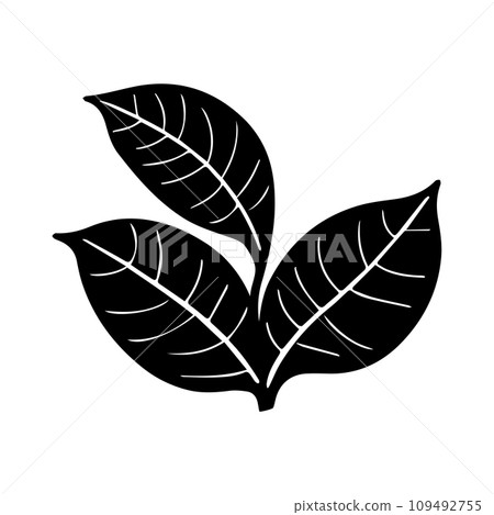 Tropical ficus plant leav icon illustration, black on white background 109492755