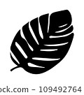 Tropical monstera ficus plant leav icon illustration, black on white background 109492764
