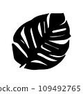Tropical monstera ficus plant leav icon illustration, black on white background 109492765