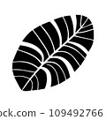 Tropical ficus plant leav icon illustration, black on white background 109492766