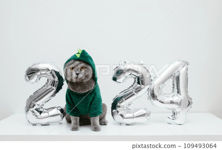 British cat in a green dragon costume on white background. Cat with Christmas decorations. Chinese New Year 2024 symbol. Copy space. British cat in a green dragon costume on white background. Cat with Christmas decorations. Chinese New Year 2024 symbol. Copy space. 109493064
