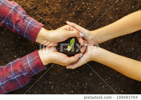 The family mother and child hold a young sprout in their hands. Top view The family mother and child hold a young sprout in their hands. Top view 109493704