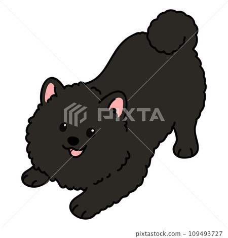 邀請您玩耍的簡單可愛的黑色博美犬的插圖，帶有主線 109493727