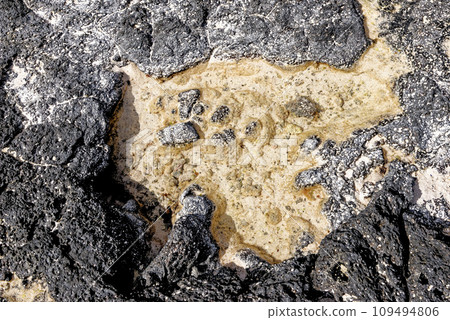 Natural tidal pools of The Playa de los Charcos beach - Fuerteventura Natural tidal pools of The Playa de los Charcos beach - Fuerteventura 109494806