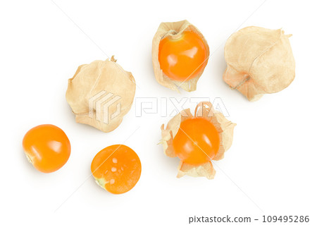 Cape gooseberry or physalis isolated on white background wit full depth of field. Top view. Flat lay 109495286