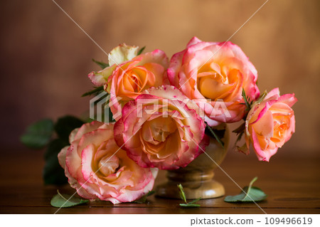 Beautiful blooming yellow and pink rose flowers. Beautiful blooming yellow and pink rose flowers. 109496619