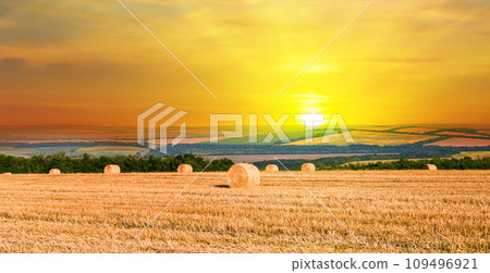 A field with haystacks on an autumn evening with a cloudy sky in the background at sunset . Wide photo. A field with haystacks on an autumn evening with a cloudy sky in the background at sunset . Wide photo. 109496921