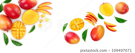 Mango fruit and half with slices isolated on white background with copy space for your text. Top view. Flat lay 109497071
