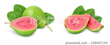 Guava fruit isolated on white background with full depth of field 109497139