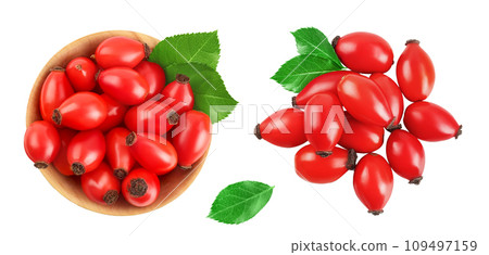 Rose hip in wooden bowl isolated on a white background with full depth of field. Top view. Flat lay 109497159