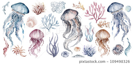Underwater sea jellyfish on an isolated background. Watercolor set elements of the undersea world. Sea animals are hand drawn. Ocean fauna clip art for kids design. Underwater sea jellyfish on an isolated background. Watercolor set elements of the undersea world. Sea animals are hand drawn. Ocean fauna clip art for kids design. 109498326