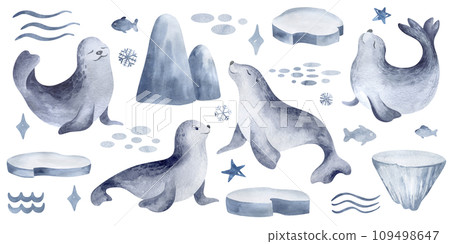 Fur seal is an animals of the Arctic. Watercolor set of beast and ice floes on an isolated background. Hand-drawn sea calf and iceberg elements for kids stickers and prints. Fur seal is an animals of the Arctic. Watercolor set of beast and ice floes on an isolated background. Hand-drawn sea calf and iceberg elements for kids stickers and prints. 109498647