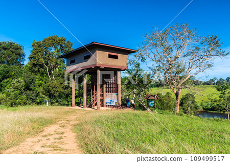 View from Nong Pak Chi observation tower, Khao Yai National Park. 109499517