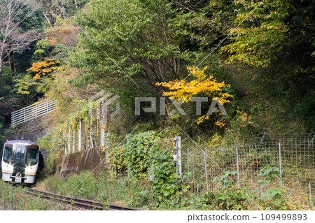[Takayama Main Line] Limited Express Hida rushes through the tunnel on its journey 109499893