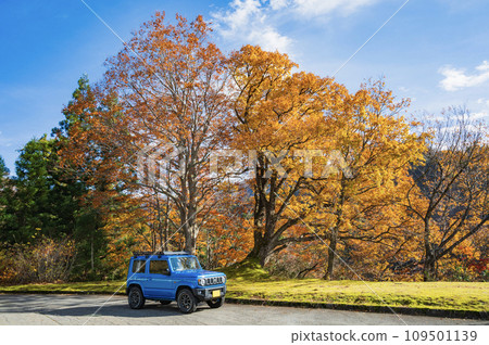 Jimny and autumn leaves 109501139