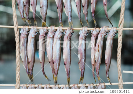 Raw dried shishamo (real shishamo) Mukawa 109501411