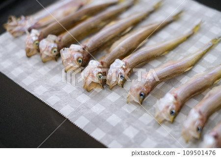 Authentic shishamo grilled on a hot plate Mukawa 109501476