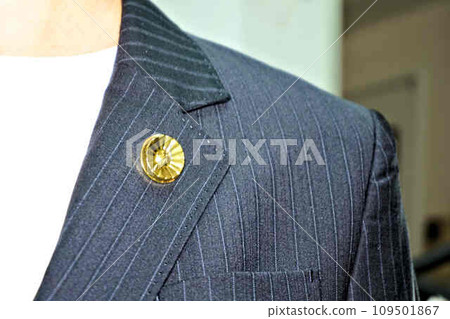 female lawyer 109501867