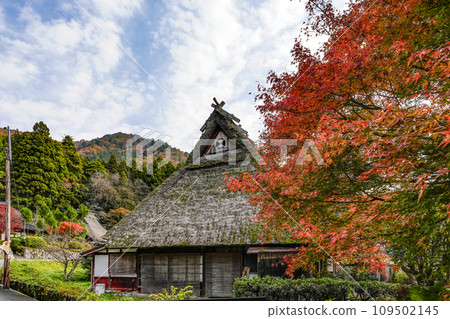 日本的原始風景(秋天的深山茅吹之裡) 日本的原始風景(秋天的深山茅吹之裡) 109502145