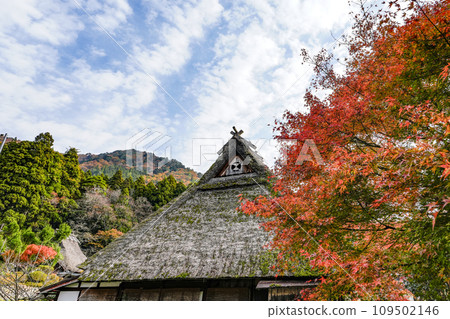 日本的原始風景(秋天的深山茅吹之裡) 日本的原始風景(秋天的深山茅吹之裡) 109502146